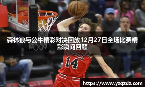 球速体育登录入口